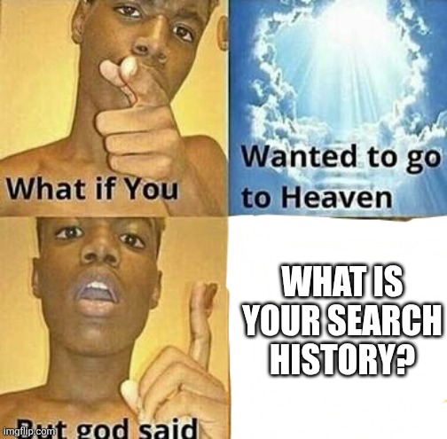 I guess it's safe for work | WHAT IS YOUR SEARCH HISTORY? | image tagged in what if you wanted to go to heaven | made w/ Imgflip meme maker