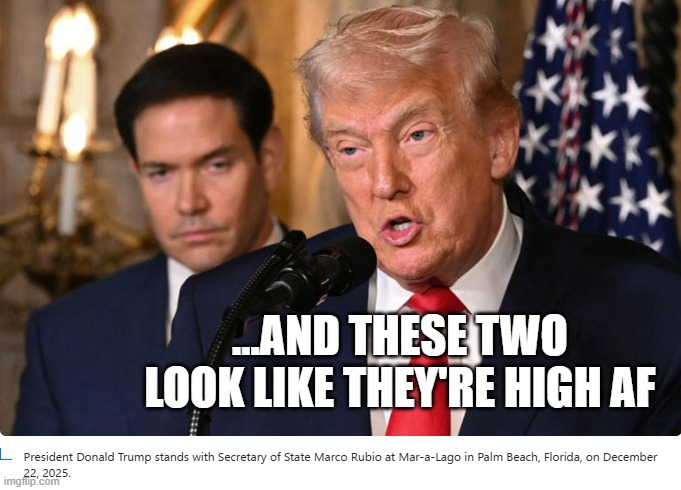 I don't know about you, but I want sane, sober decision-making from the government... | ...AND THESE TWO LOOK LIKE THEY'RE HIGH AF | image tagged in high af,trump,rubio | made w/ Imgflip meme maker