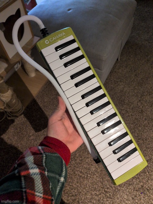 Melodica | image tagged in he | made w/ Imgflip meme maker
