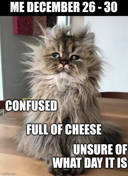 I Say HEY!  What's Going On? | ME DECEMBER 26 - 30; CONFUSED; FULL OF CHEESE; UNSURE OF WHAT DAY IT IS | image tagged in scruffy cat,confusion is nothing new,happy holidays,happy new year,stuffed,holidays | made w/ Imgflip meme maker