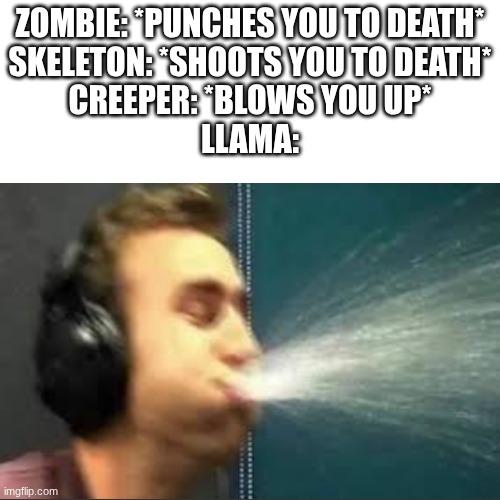 *llama noises* | ZOMBIE: *PUNCHES YOU TO DEATH*
SKELETON: *SHOOTS YOU TO DEATH*
CREEPER: *BLOWS YOU UP*
LLAMA: | made w/ Imgflip meme maker