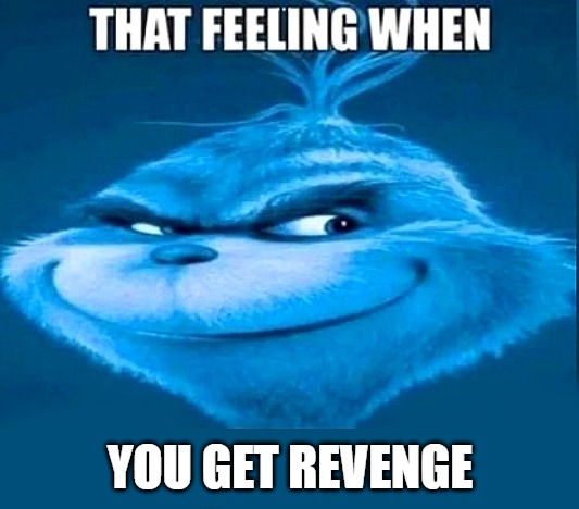 that feeling | YOU GET REVENGE | image tagged in that feeling | made w/ Imgflip meme maker