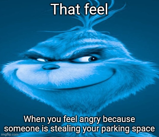 Blue Grinch | That feel When you feel angry because someone is stealing your parking space | image tagged in blue grinch | made w/ Imgflip meme maker