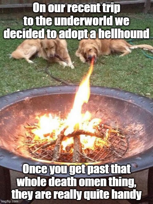 Hellhound | On our recent trip to the underworld we decided to adopt a hellhound; Once you get past that whole death omen thing, they are really quite handy | image tagged in dog,hell,fire,gimme one | made w/ Imgflip meme maker