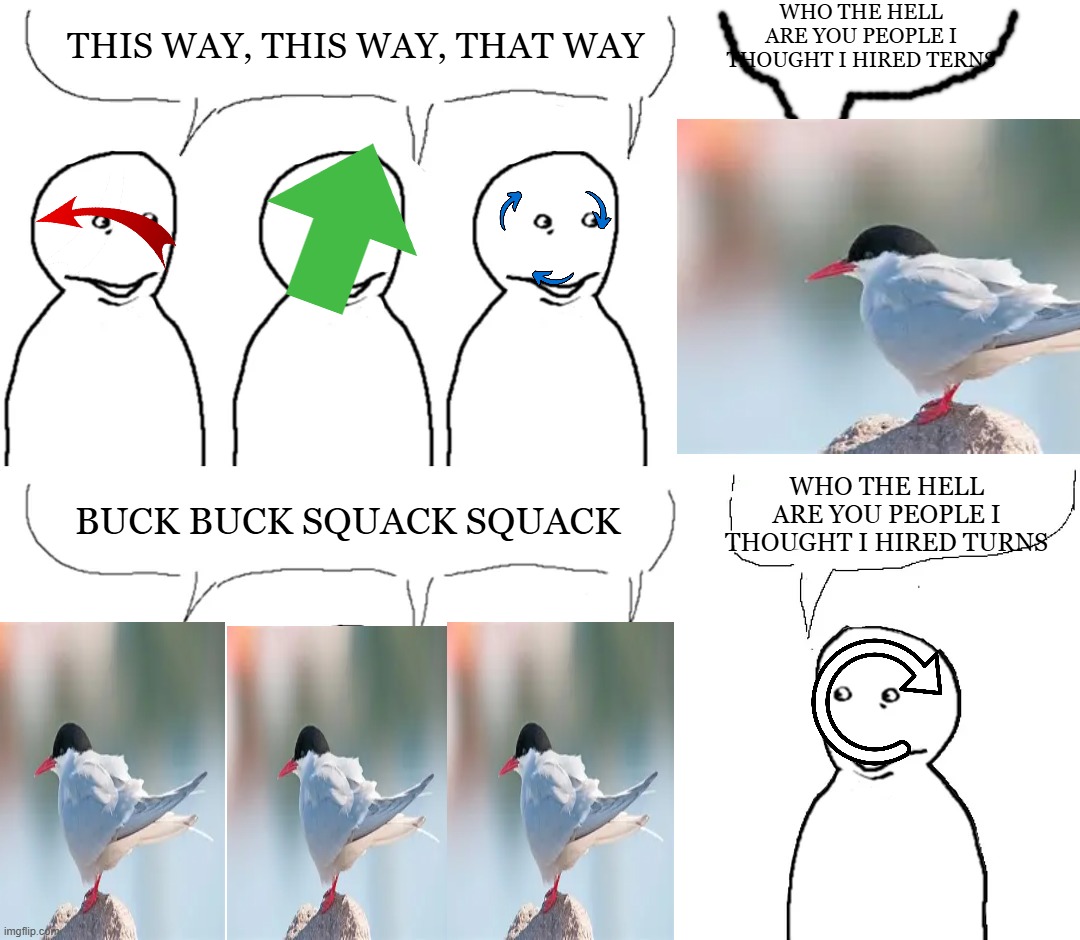 Who the hell are you people I thought I hired Terns | WHO THE HELL ARE YOU PEOPLE I THOUGHT I HIRED TERNS; THIS WAY, THIS WAY, THAT WAY; WHO THE HELL ARE YOU PEOPLE I THOUGHT I HIRED TURNS; BUCK BUCK SQUACK SQUACK | image tagged in i thought i hired,tern,turn | made w/ Imgflip meme maker
