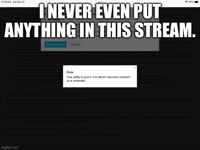 I did nothing | I NEVER EVEN PUT ANYTHING IN THIS STREAM. | image tagged in why,moderators | made w/ Imgflip meme maker