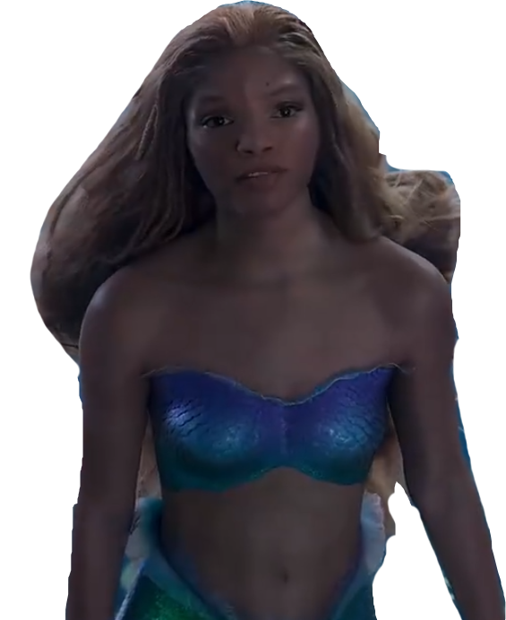 Halle Mermaid Blank Meme Template