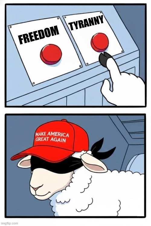 FREEDOM VS TYRANNY | TYRANNY; FREEDOM | image tagged in two buttons,maga,trump,tyranny,dictator,freedom | made w/ Imgflip meme maker