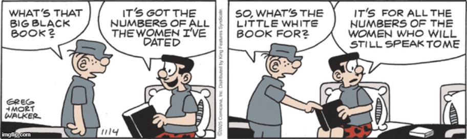 Beetle Bailey | image tagged in comics | made w/ Imgflip meme maker