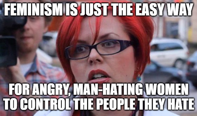 Feminism doesn't help women, it destroys the nuclear family. It destroys men AND women. | FEMINISM IS JUST THE EASY WAY; FOR ANGRY, MAN-HATING WOMEN TO CONTROL THE PEOPLE THEY HATE | image tagged in angry feminist,feminism,feminism ruins families | made w/ Imgflip meme maker