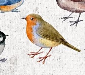 Jean-Luc The Sinful Bird Blank Meme Template