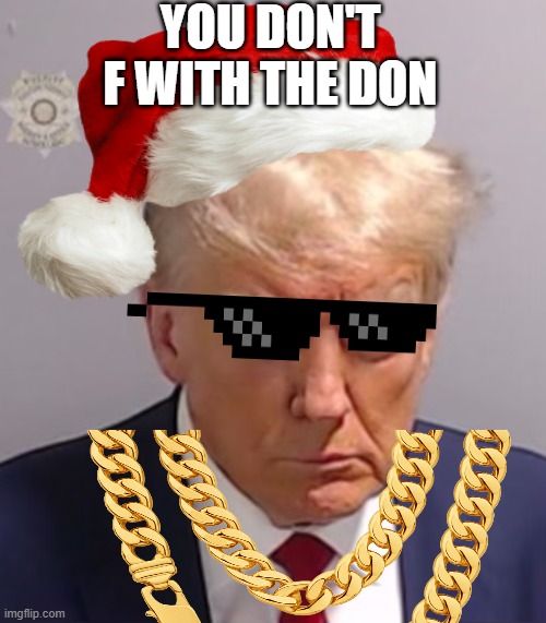 Donald Trump Mugshot | YOU DON'T F WITH THE DON | image tagged in donald trump mugshot | made w/ Imgflip meme maker