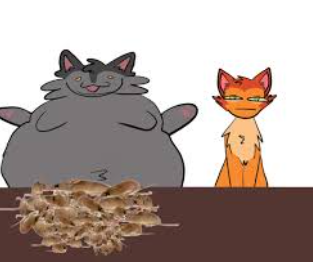 Spoiled Cat Blank Meme Template