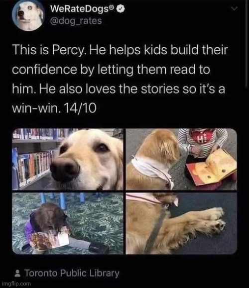 Good doggie :) | image tagged in dogs | made w/ Imgflip meme maker