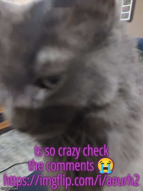 . | ts so crazy check the comments 😭
https://imgflip.com/i/aeurh2 | image tagged in 32's cat | made w/ Imgflip meme maker