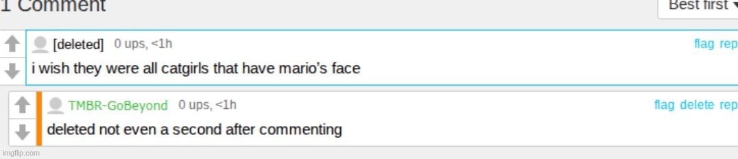 made w/ Imgflip meme maker