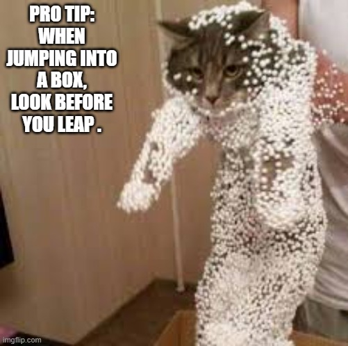 Cats should always look before they leap into a box !! | PRO TIP: WHEN JUMPING INTO A BOX, LOOK BEFORE YOU LEAP . | image tagged in cat,kittens,funny,humor,boxes,funny cat memes | made w/ Imgflip meme maker