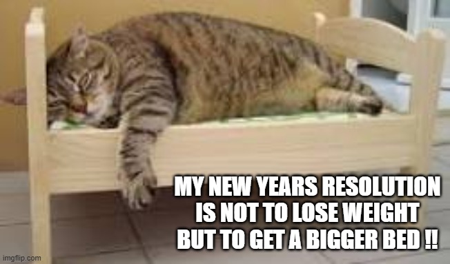 Cats New Years resolution is no to lose weight but to get a bigger bed !! | MY NEW YEARS RESOLUTION IS NOT TO LOSE WEIGHT BUT TO GET A BIGGER BED !! | image tagged in cat,kitten,funny,humor,fat cat,new years resolutions | made w/ Imgflip meme maker