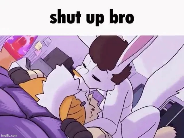 shut up bro | image tagged in shut up bro | made w/ Imgflip meme maker