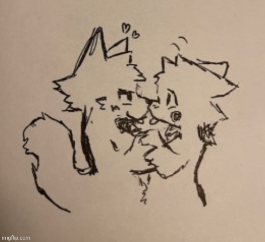 Templated this | image tagged in boykisser | made w/ Imgflip meme maker