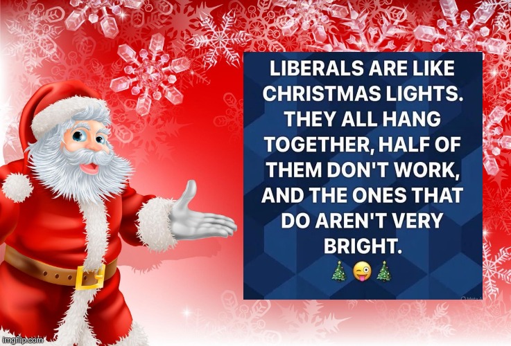 He knows when you are sleeping | image tagged in christmas santa blank,stupid liberals,birds of a feather,doo,merry christmas,santa naughty list | made w/ Imgflip meme maker