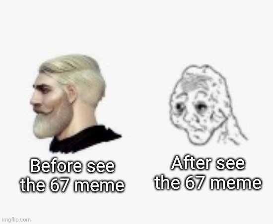 Before vs afrer | After see the 67 meme; Before see the 67 meme | image tagged in before vs afrer | made w/ Imgflip meme maker