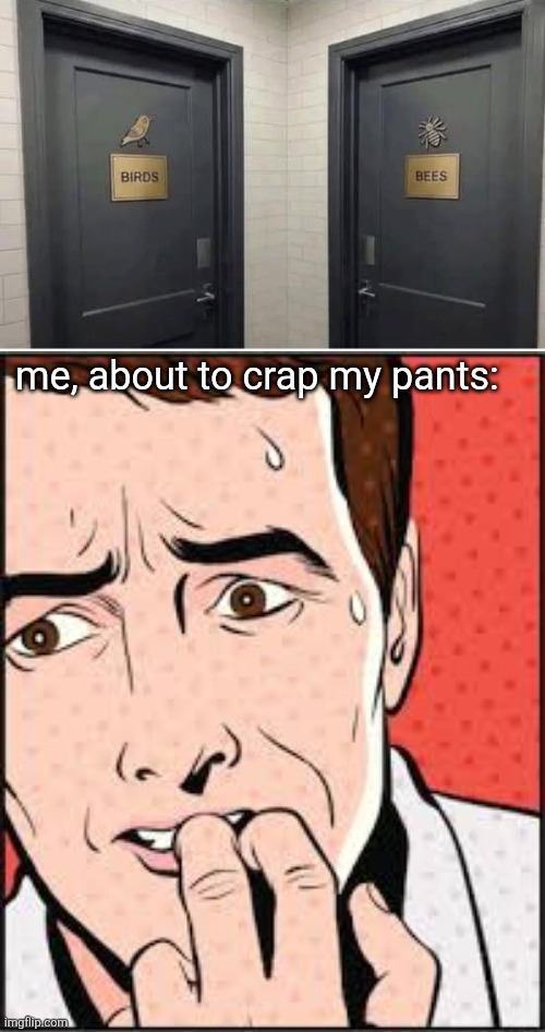 just tell me which is which! | me, about to crap my pants: | image tagged in oh no,birds and bees | made w/ Imgflip meme maker