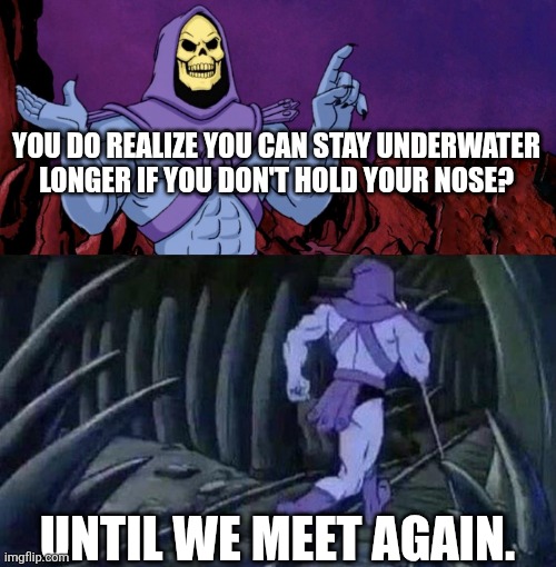 I tried it recently and it works | YOU DO REALIZE YOU CAN STAY UNDERWATER LONGER IF YOU DON'T HOLD YOUR NOSE? UNTIL WE MEET AGAIN. | image tagged in he man skeleton advices,water,underwater | made w/ Imgflip meme maker