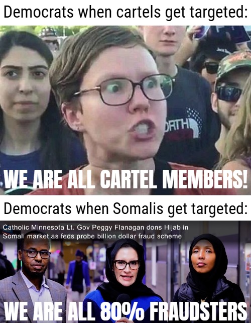 2025 is prob the most honest reaction Democrats have ever had to anything. Nothing hurts more than your economics | Democrats when cartels get targeted:; WE ARE ALL CARTEL MEMBERS! Democrats when Somalis get targeted:; WE ARE ALL 80% FRAUDSTERS | image tagged in triggered liberal,democrats,american politics | made w/ Imgflip meme maker