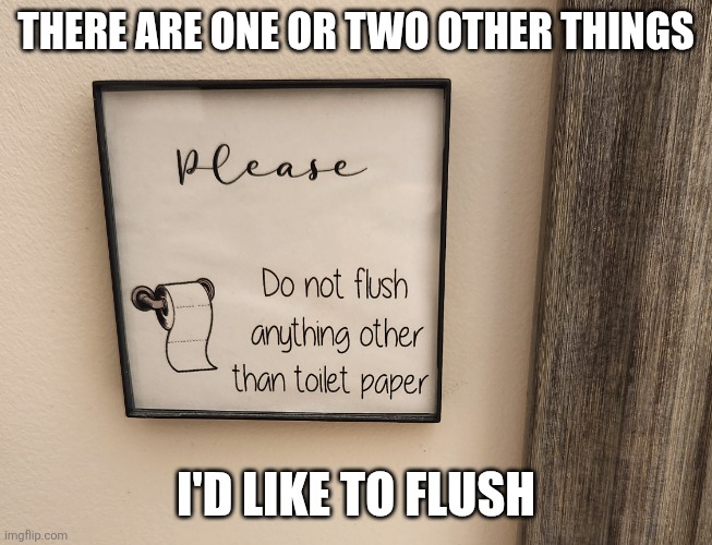Flushing rules | THERE ARE ONE OR TWO OTHER THINGS; I'D LIKE TO FLUSH | image tagged in flush,toilet,rule,number 1,number 2 | made w/ Imgflip meme maker