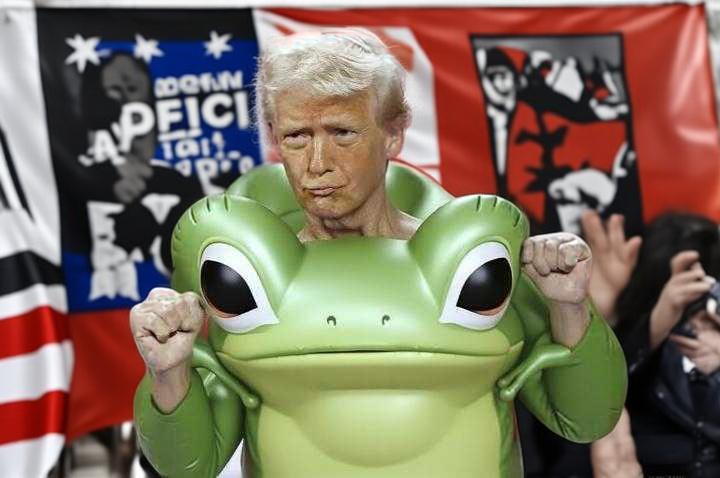 Trump Frog Blank Meme Template