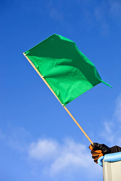 Green Flag Blank Meme Template