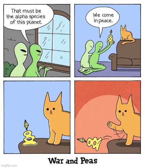 Kitty doesn’t need a trophy to prove it’s superiority… | image tagged in cats,war and peas,comics,aliens,alpha species,knocked over | made w/ Imgflip meme maker