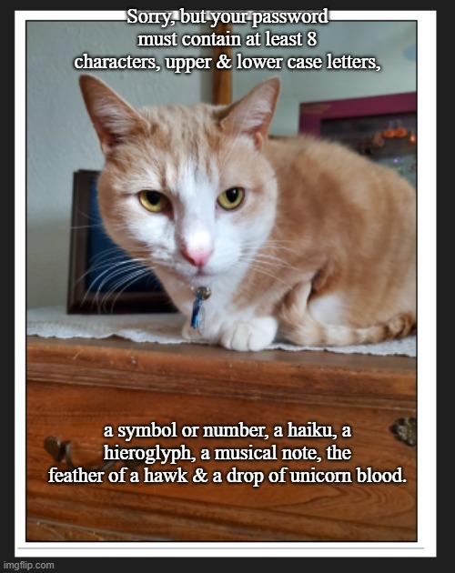 Password | Sorry, but your password must contain at least 8 characters, upper & lower case letters, a symbol or number, a haiku, a hieroglyph, a musical note, the feather of a hawk & a drop of unicorn blood. | image tagged in cats | made w/ Imgflip meme maker