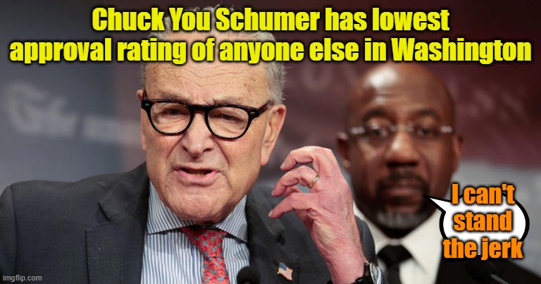 He's earned that rating | Chuck You Schumer has lowest approval rating of anyone else in Washington; I can't stand the jerk | image tagged in chuck schumer,polls,democrats,liberal vs conservative | made w/ Imgflip meme maker