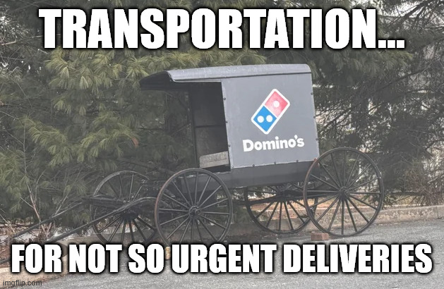 Pizza Delivery - NO So urgent | TRANSPORTATION... FOR NOT SO URGENT DELIVERIES | image tagged in pizza delivery | made w/ Imgflip meme maker