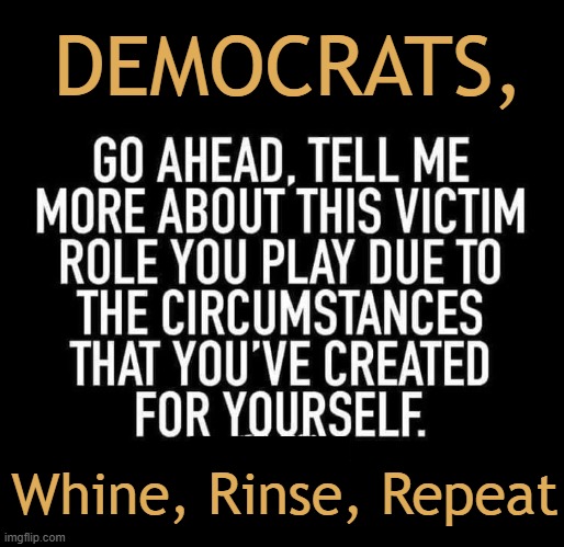 You can only be a victim for so long--quit living in the past! | DEMOCRATS, Whine, Rinse, Repeat | image tagged in victims,democrats,move on,grow up,quitcherbellyachin | made w/ Imgflip meme maker