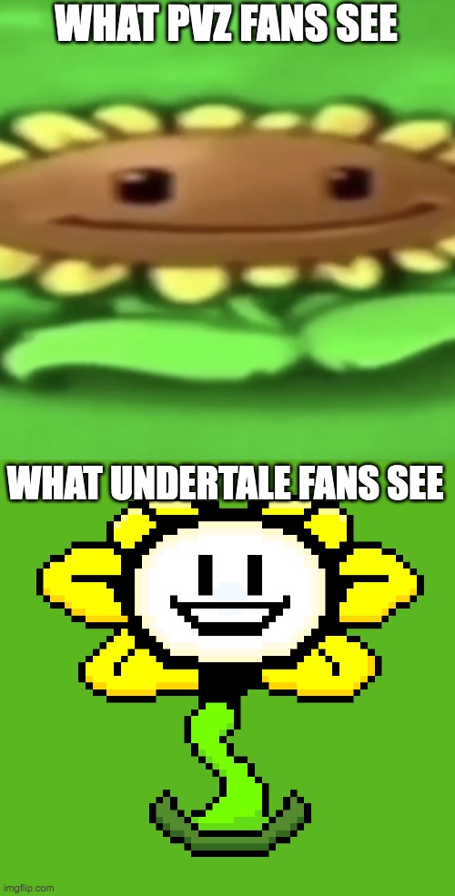 true but why do they look the same | WHAT PVZ FANS SEE; WHAT UNDERTALE FANS SEE | image tagged in pvz sunflower,pvz,undertale,sunflower,flowey | made w/ Imgflip meme maker