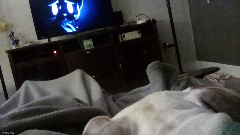 My dog Jupiter is watching with me | made w/ Imgflip meme maker