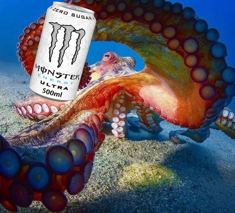 Octopus gives you a monster Blank Meme Template