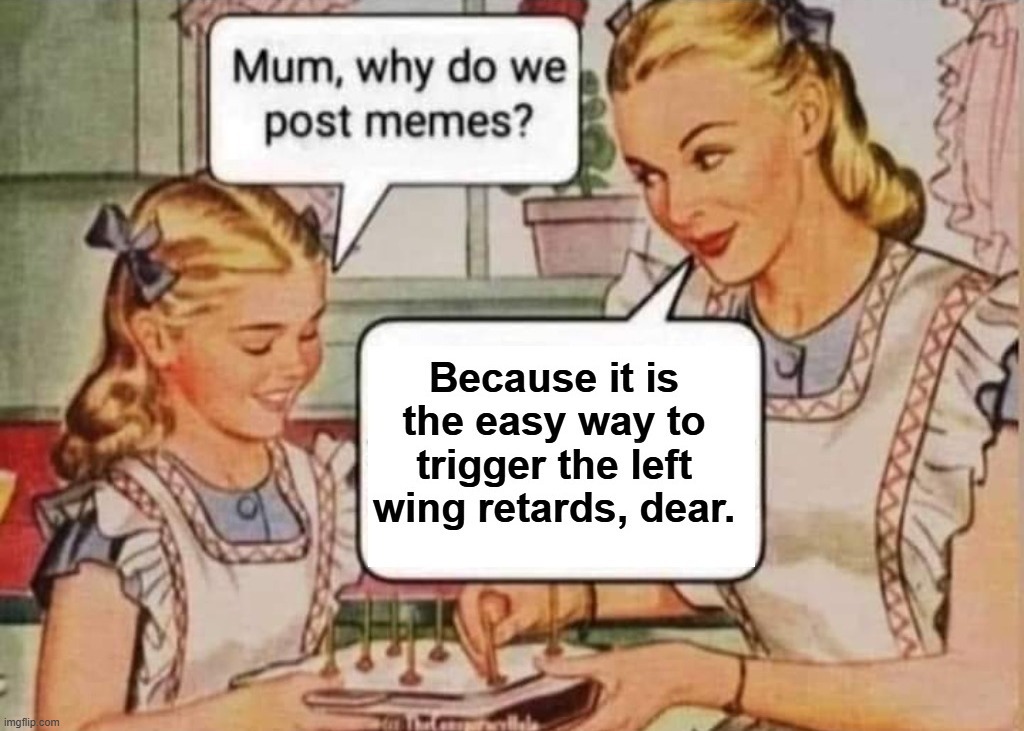 We post memes not because it is easy but because it triggers the left wing retards. | image tagged in memology,triggered feminist,triggered liberal,triggered template,sjw triggered,triggering | made w/ Imgflip meme maker