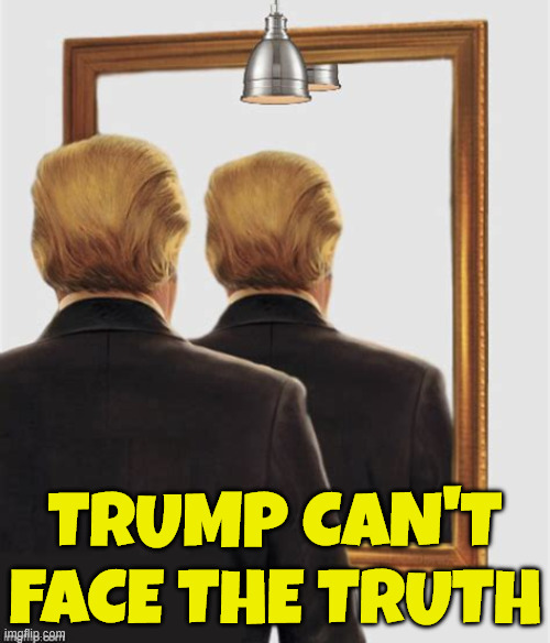 Can't face the truth | TRUMP CAN'T FACE THE TRUTH | image tagged in can't face the truth | made w/ Imgflip meme maker