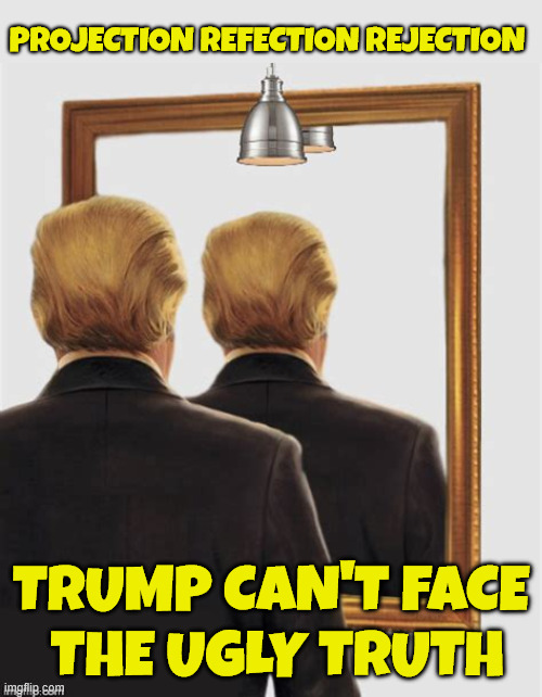 Mirror mirror on the wall who's the biglest fraud of them all | PROJECTION REFECTION REJECTION; TRUMP CAN'T FACE
 THE UGLY TRUTH | image tagged in mirror mirror on the wall who's the biggest fraud of them all,projection refecvtion rejection,the ugly truth,wizard of fraud | made w/ Imgflip meme maker