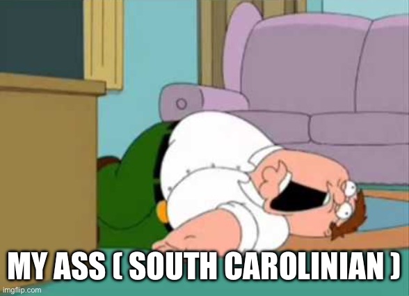 Dead Peter Griffin | MY ASS ( SOUTH CAROLINIAN ) | image tagged in dead peter griffin | made w/ Imgflip meme maker
