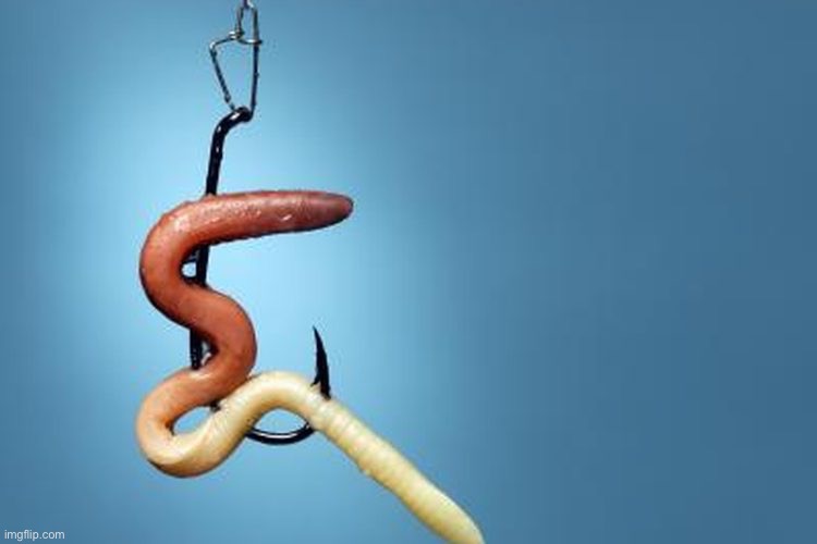 Baiting a hook | image tagged in baiting a hook | made w/ Imgflip meme maker