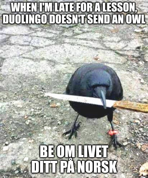 Norwegian Duolingo Crow | WHEN I'M LATE FOR A LESSON, DUOLINGO DOESN'T SEND AN OWL; BE OM LIVET DITT PÅ NORSK | image tagged in crow with knife,norse,duolingo,humor | made w/ Imgflip meme maker
