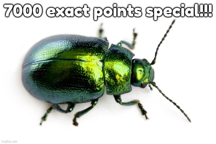 beetle | 7000 exact points special!!! | image tagged in beetle | made w/ Imgflip meme maker