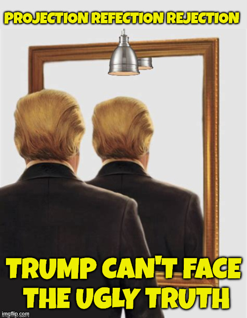 Mirror mirror on the wall who's the biglest fraud of them all | image tagged in mirror mirror on the wall who's the biglest fraud of them all,wizard of fruad,projection reflection rejection,the ugkly truth | made w/ Imgflip meme maker
