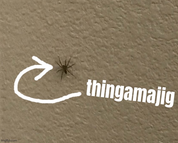 got this doober in my room right now | thingamajig | made w/ Imgflip meme maker