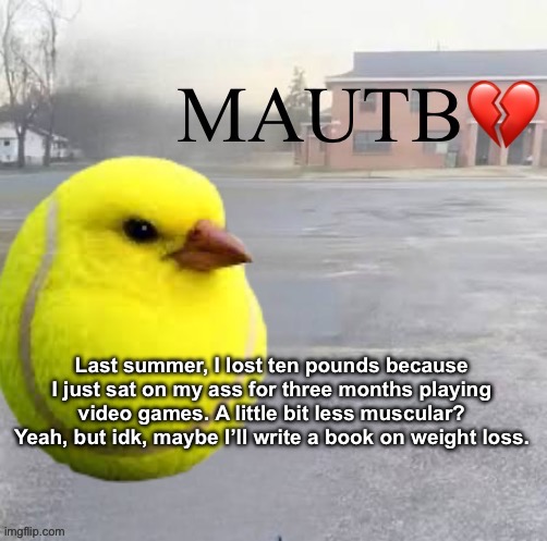 Mods Asleep, Upvote Tennis Bird | Last summer, I lost ten pounds because I just sat on my ass for three months playing video games. A little bit less muscular? Yeah, but idk, maybe I’ll write a book on weight loss. | image tagged in mods asleep upvote tennis bird | made w/ Imgflip meme maker